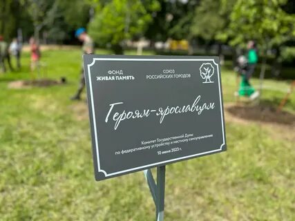 Аллея памяти мытищи