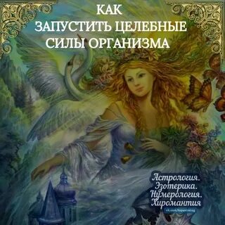 Целебные силы организма