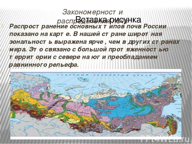 Распространение почв с севера на юг. Распространение почв с севера на юг