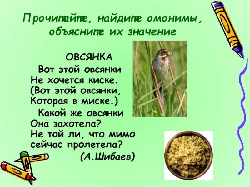 Объясни значение омонимов