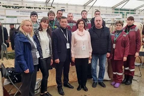 Мсх владимирской