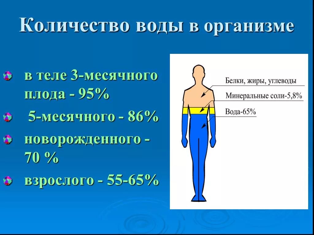 Сколько жидкостей в организме. Количество воды в организме. Количество воды в теле. Количество воды в органи. Объем воды в организме человека.
