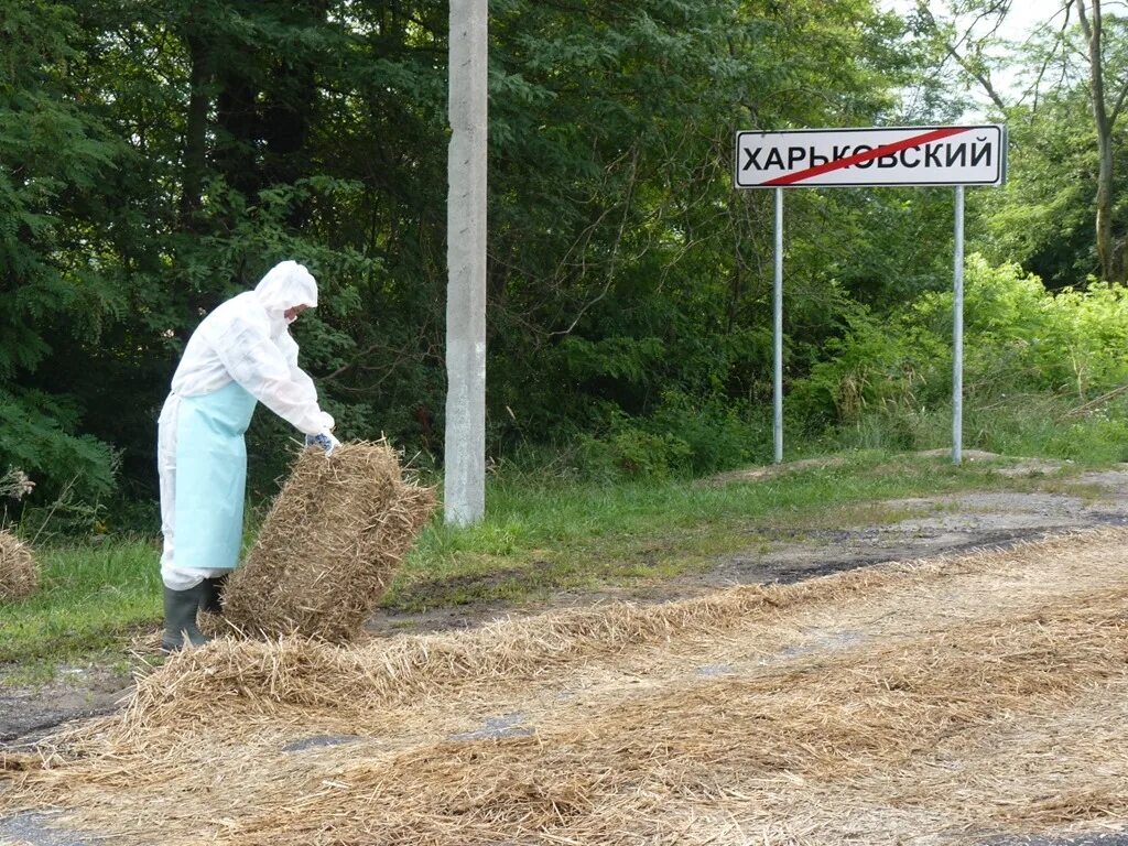 Краснодарский край лабинский район харьковский. Хутор Харьковский Ставропольский край. Хутор Харьковский Ставропольский край Кочубеевский район. Х Харьковский Лабинский район. Хутор Харьковский Лабинский район Краснодарский.