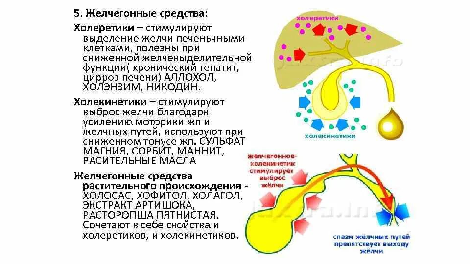 Препараты для вывода желчи из желчного пузыря. Желчегонные средства. Лекарство от застоя желчи. Желчегонное для печени.