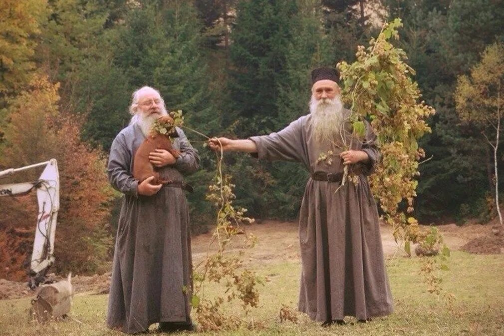 Монахов друзья