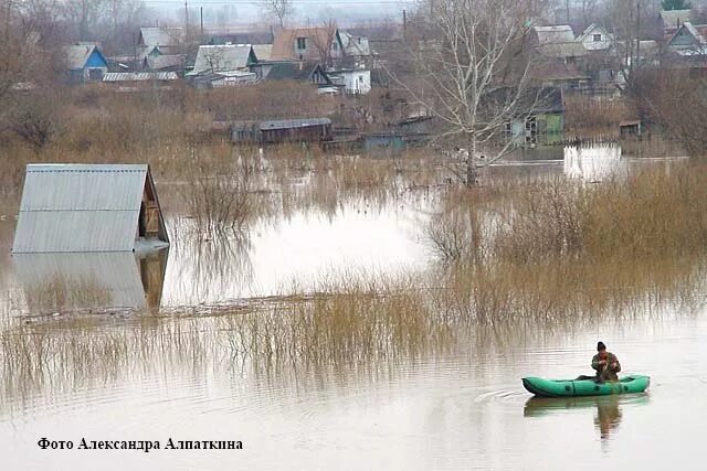 Уровень воды в реке тобол звериноголовское