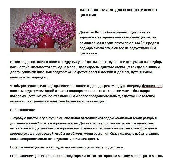 Смоляков метод касторка