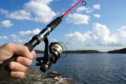 Fishing rods fisch