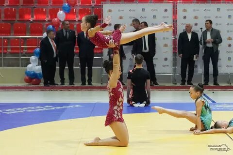Дворец самбо краснодар открытие