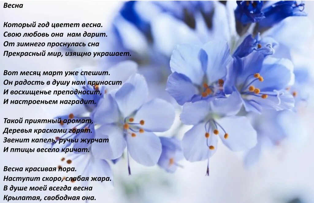 Люблю весну стихи. Люблю весну стихи