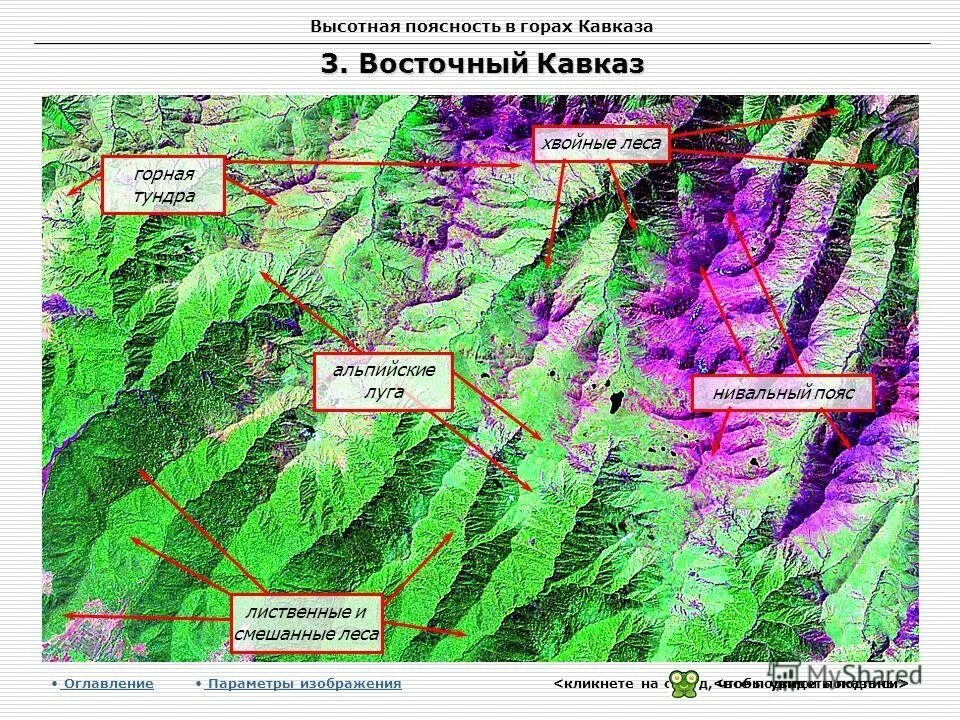 Западный кавказ высотные пояса. Западный кавказ высотные пояса. Природные зоны кавказа высотная поясность. Высотная поясность альпийские луга. Западный кавказ высотные пояса.