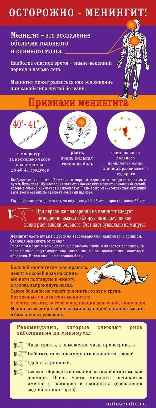 Минингитовая симптомы у взрослых