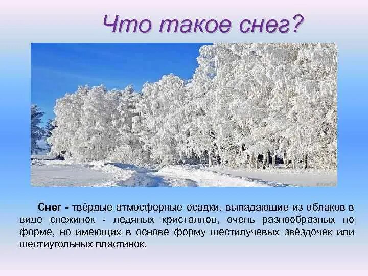 Почему снег становится липким. Что такое снег определение. Информация про снег. Снег для презентации. Сообщение о снеге.