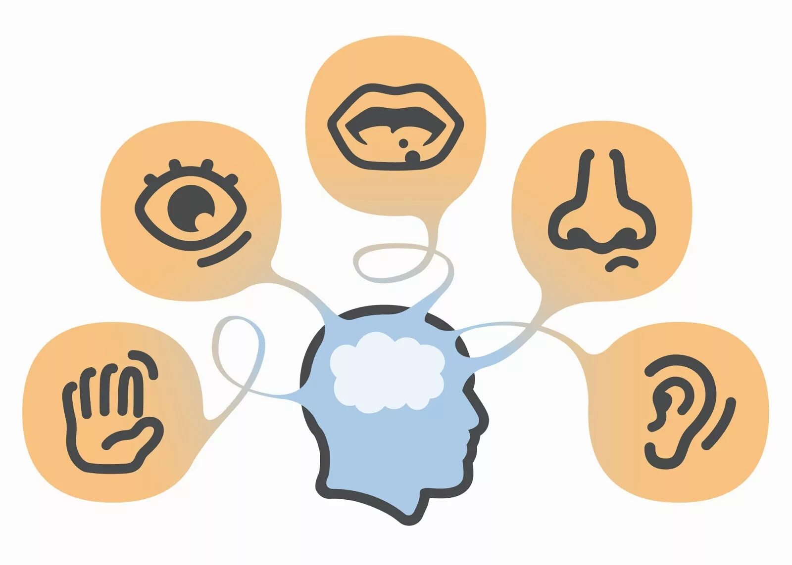 The senses person. Ощущение и восприятие картинки. The senses person. 5 senses. The senses person.
