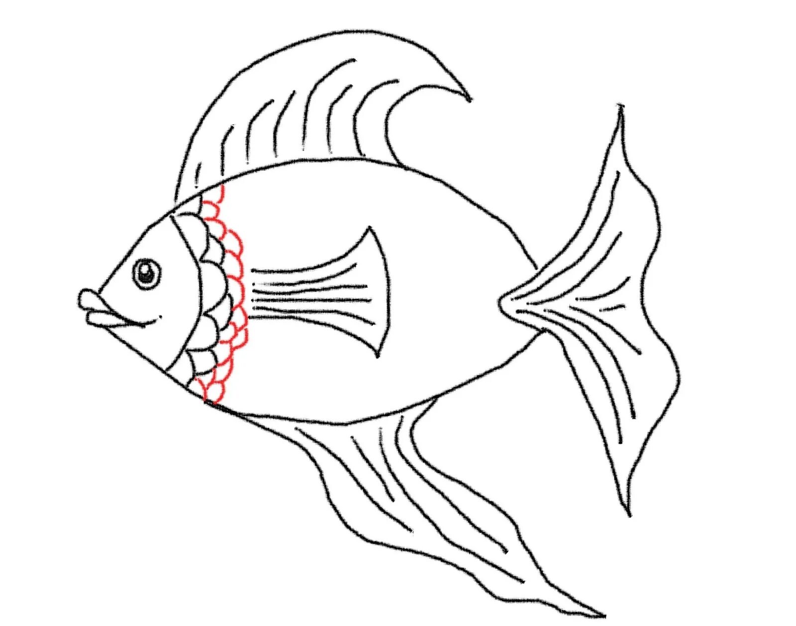 Рисование рыбки. Рыбка рисунок. Рыба карандашом. Рыбка карандашом. Рыбы рисунок 3 класс