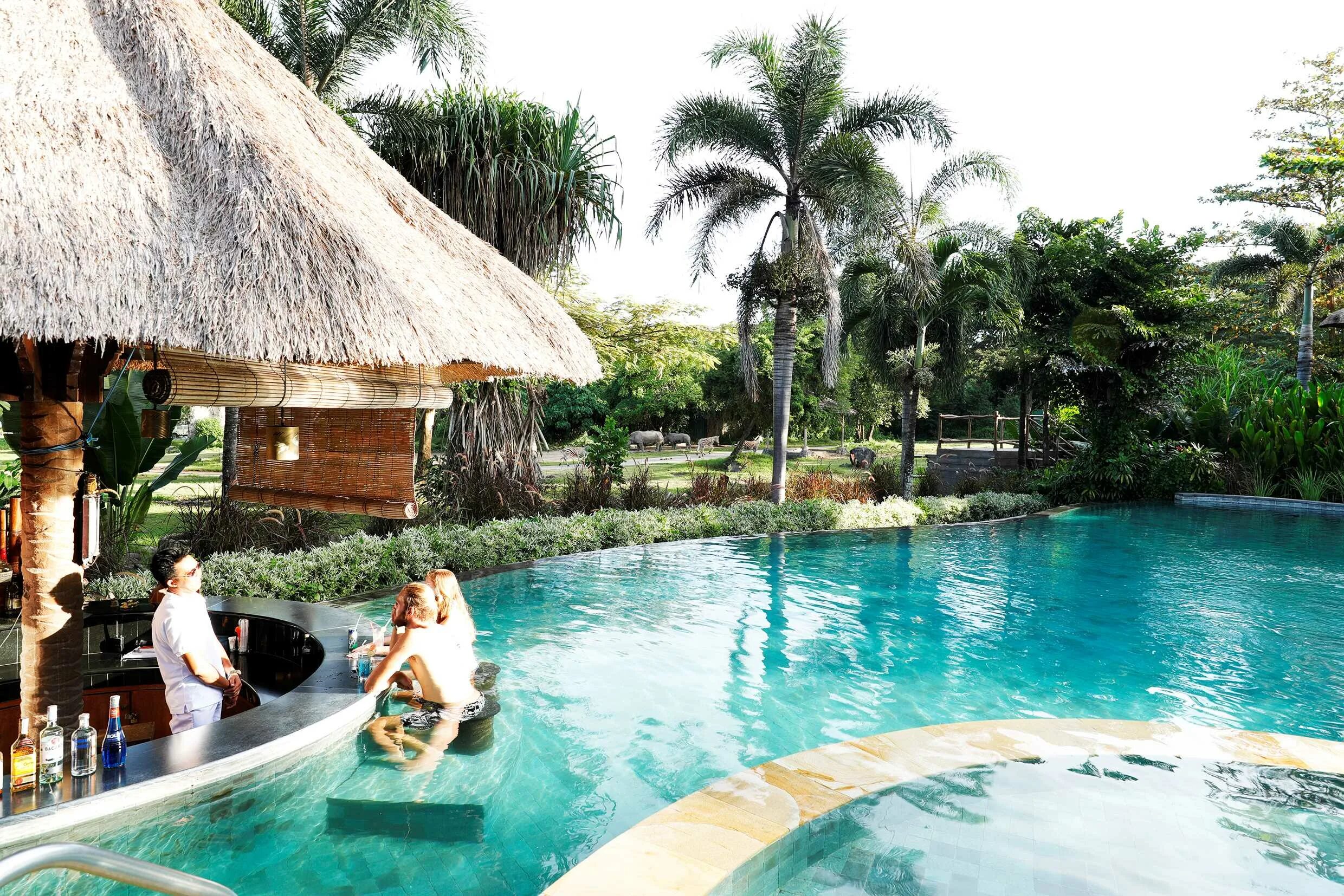 Salt safari el bali inshad. Salt safari el bali inshad. Bali safari and marine park. Parq бали. Mara river safari lodge bali.