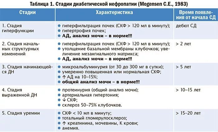 Моча при сахарном диабете у мужчин. СКФ при диабетической нефропатии. Стадии диабетической нефропатии. Стадии развития диабетической нефропатии. Этапы диабетического нефропатии.