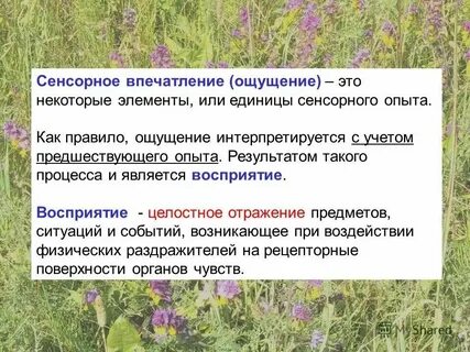 Какие впечатления чувства возникли