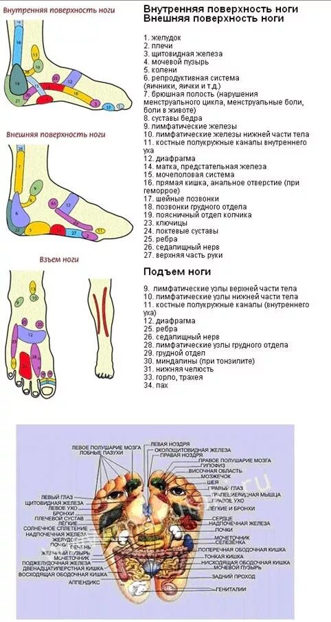 Карта в стопе метро. Акупунктурные точки стопы схема. Акупунктурные точки на стопах ног схема. Точки на ступнях отвечающие за органы для массажа. Болевые точки на стопе человека.