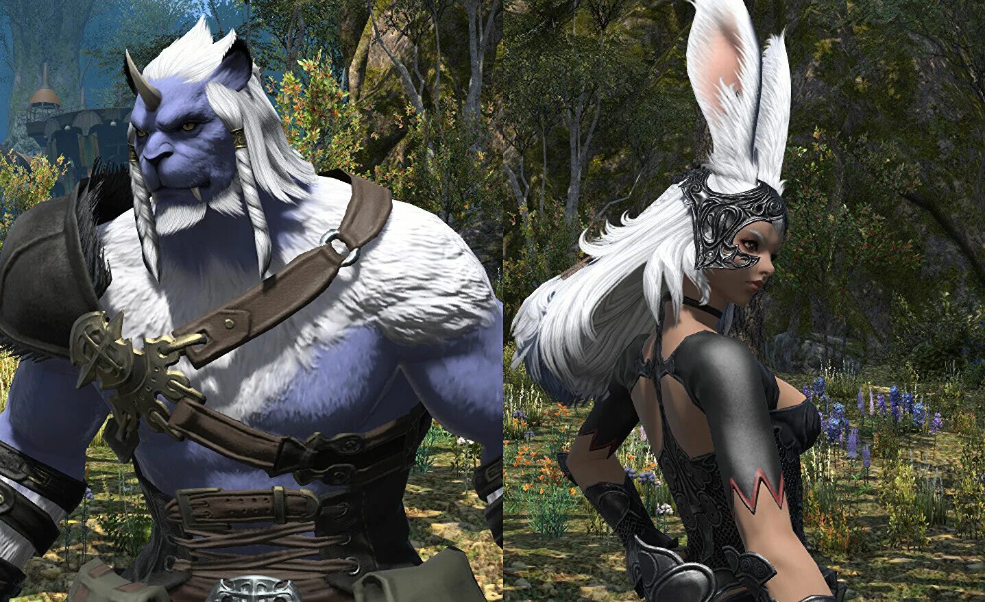 Ff14 Виера. Hrothgar ff14. Раса Viera в ff14. Final Fantasy XIV Viera. Ff3 wordwall