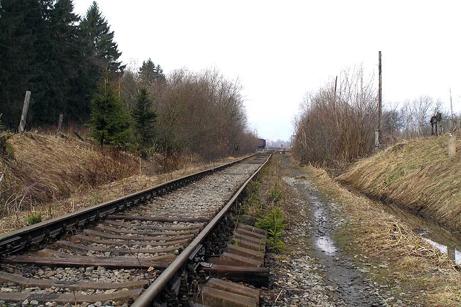 Рп5 крестцы новгородская область. Крестецкий район Новгородской области. Станция Крестцы. Станция Крестцы Новгородской области. Ручьи (Крестецкий район).