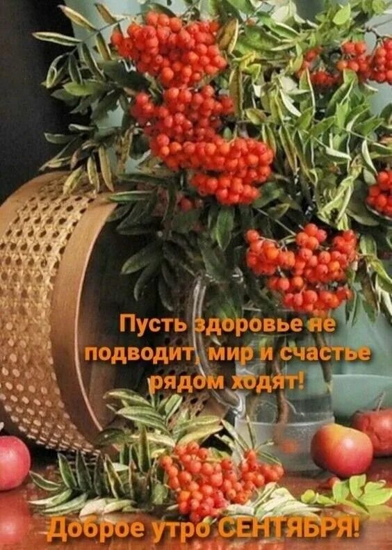 Доброе утро сентября со смыслом красивые. Доброе сентябрьское утро. открытки с добрым осенним утром и хорошим настроением. доброго осеннего утра и хорошего настроения. доброе воскресное утро сентября.
