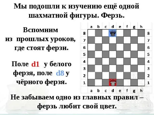 Где должен стоять король в шахматах. Ферзь в шахматах где стоит. где стоит ферзь на шахматной доске. расположение ферзя в шахматах. где в шахматах стоиттферзь.