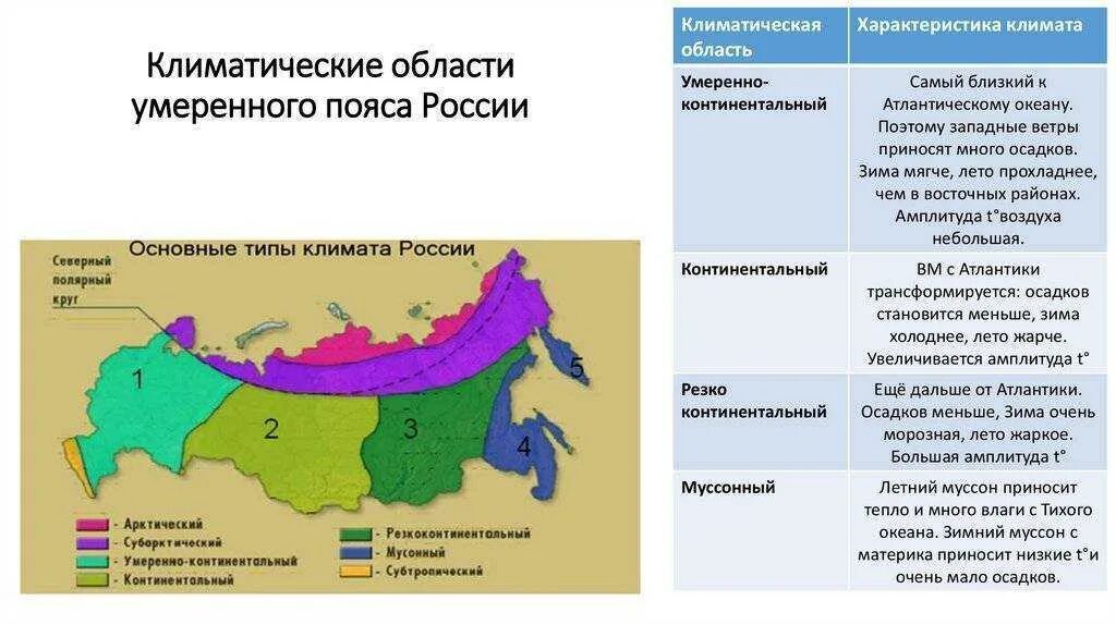 Климатические пояса и типы климата на территории России. Характеристика умеренно континентального пояса в России. Карта типов климата России. Климатические области в умеренном поясе России. Есть ли страна холоднее чем россия география