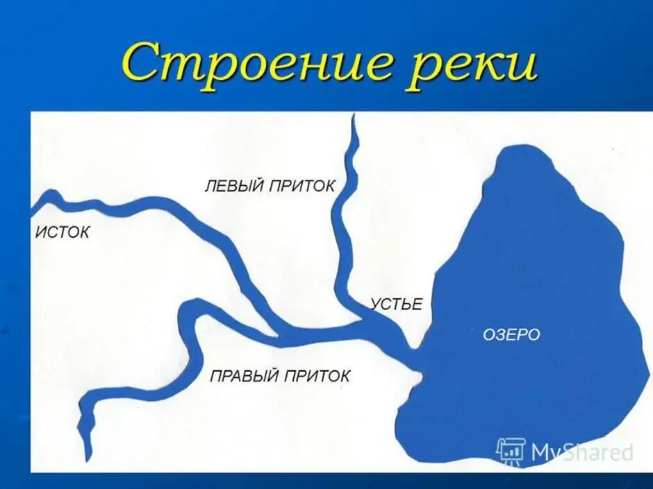 В какую сторону текут реки россии. Схема реки Исток приток Устье. Исток и Устье реки Лена. Схема реки Исток русло Устье. Устье Исток реки Лена схема.