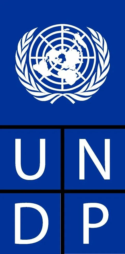 Программы оон. Логотип undp. программа развития оон. проон. undp logo png.