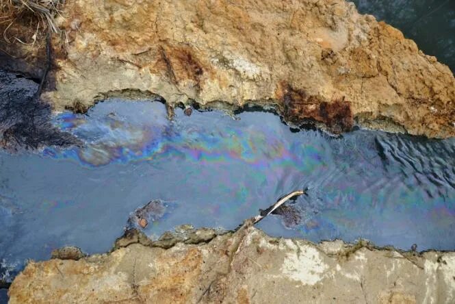 Самопроизвольные ручейки нефти в Дагестане. Картинка разводы нефти в ручье.