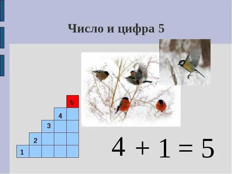 Конспект урока 1 класс коррекционная школа. Число и цифра 5. Число и цифра 5 презентация. Число и цифра 5 рабочий лист. Число и цифра 6 коррекционная школа.