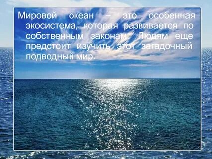 Океаны 4 класс