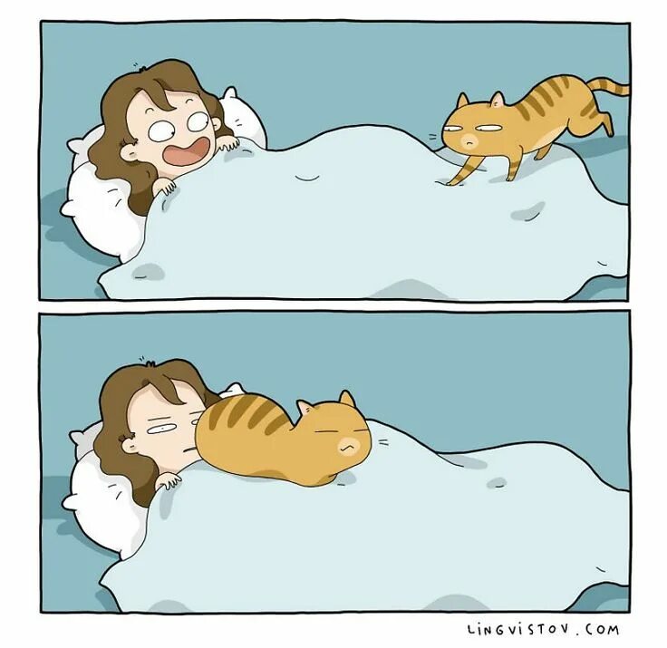 У кого нет кота. Комиксы с котиками. смешные комиксы с котами. комикс про кота и хозяина. веселые комиксы о жизни с котами.