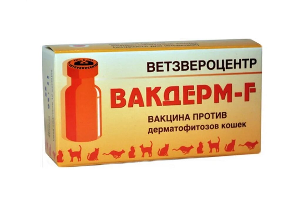 Вакдерм для кошек. Вакцина вакдерм f №10. вакдерм вакцина против дерматофитозов животных 1 доза. вакцина для кошек от лишая вакдерм. вакцина вакдерм для кошек.