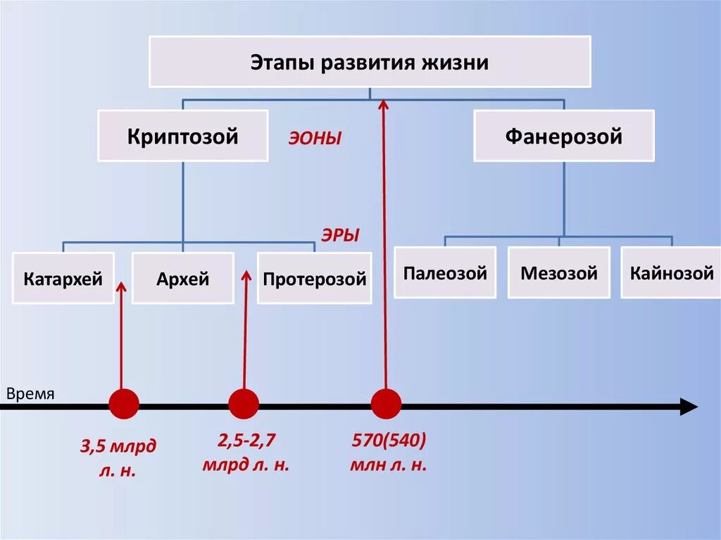 Этапы развития жизни. Этапы формирования жизни на земле. Криптозой. Этапы эволюции эры. Основные этапы эволюция жизни