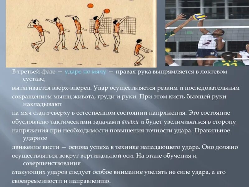 Фазы нападающего удара в волейболе. Нападающего удара в волейболе. фазы выполнения нападающего удара в волейболе. удар по мячу в волейболе. техника выполнения нападающего удара в волейболе.