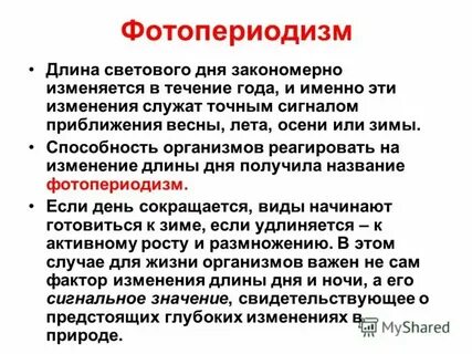 Растения длинного светового дня