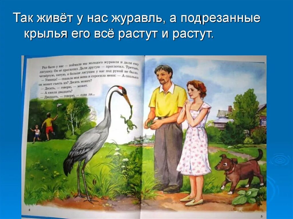 М М пришвин журка. Произведение Михаила Пришвина журка. Рассказ Пришвина журка. Иллюстрации журка иллюстрации пришвин. Читательский дневник журка