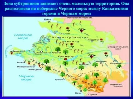 Какие города расположены в зоне субтропиков