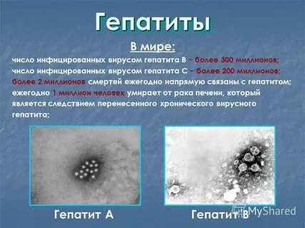 Сколько вирусов в воде