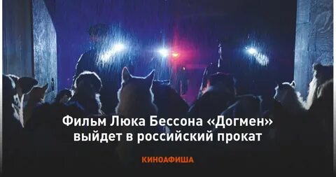 Догмен отзывы