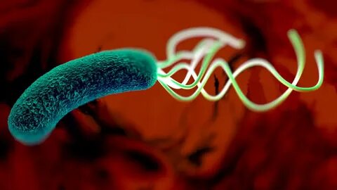 Инфекция н pylori