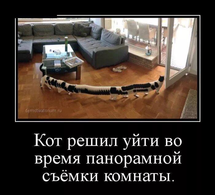 Демотиваторы смешные. Демотиваторы. Демотиваторы приколы. Мотиваторы смешные.