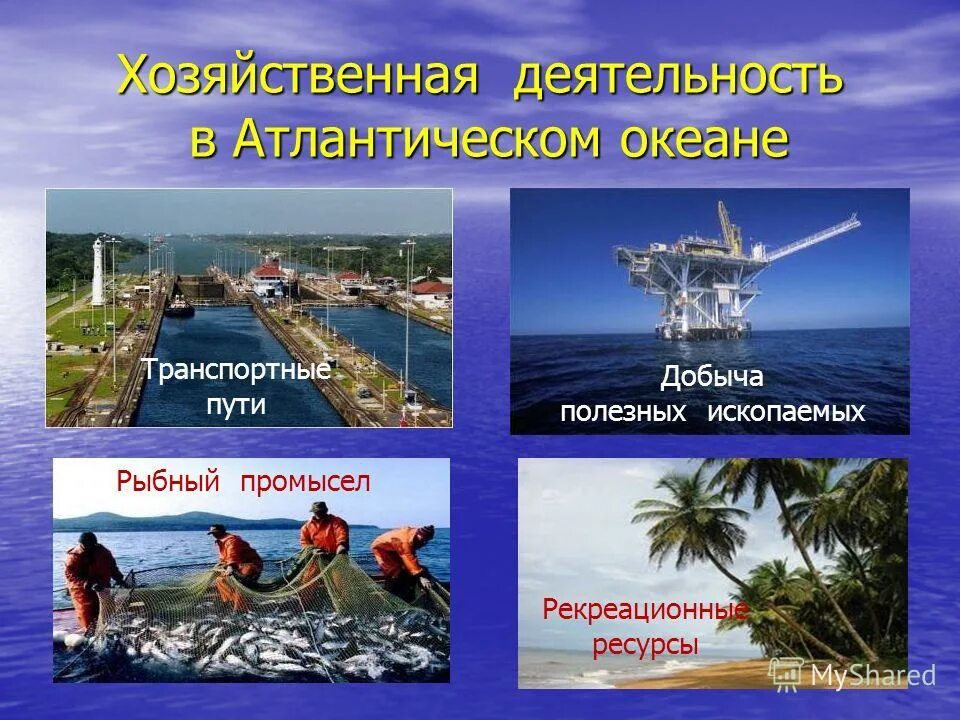 География 7 класс учебник содержание. География 7 класс учебник душина оглавление. Содержание географии 7 класс. Содержание учебника по географии 7 класс. География 7 класс алексеев содержание.