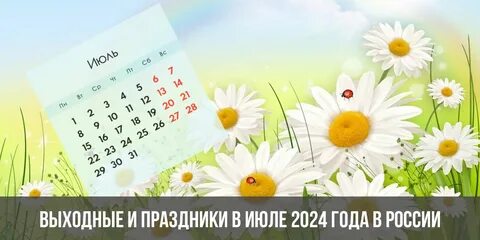 Сборы июль 2024
