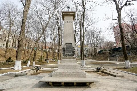 Гайдамак владивосток