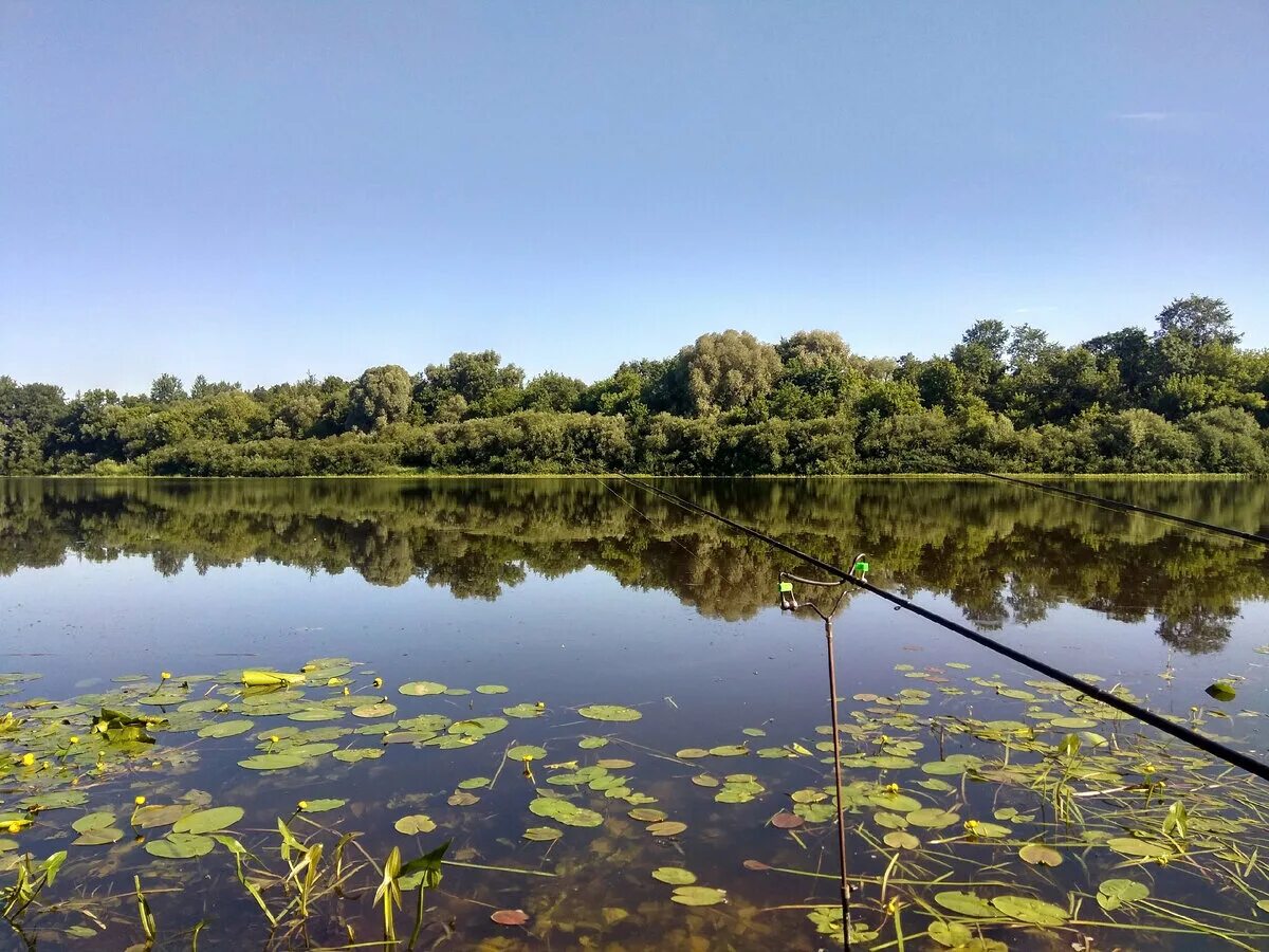 Утону я в западной двине. Река Даугава Западная Двина. Красивые фото Западная Двина ловят рыбу. Запрет ловли на Западной Двине. Погода в Западной Двине.