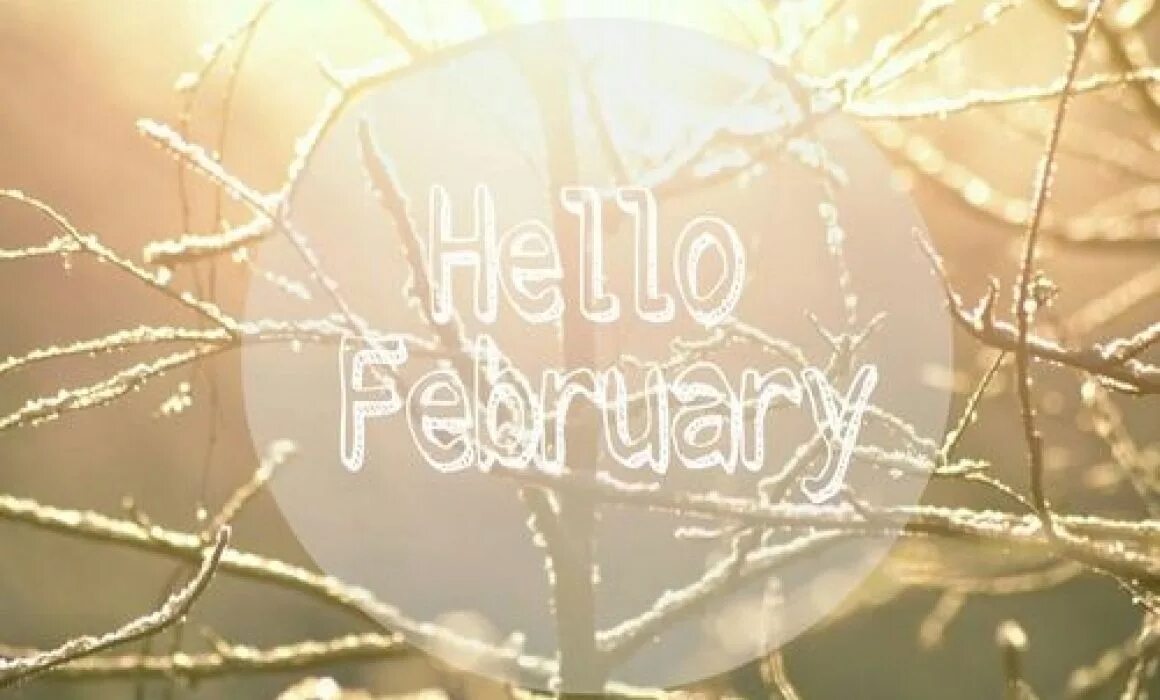 Привет февраль. Привет февраль картинки. Хеллоу февраль. Hello February картинка. Hello february