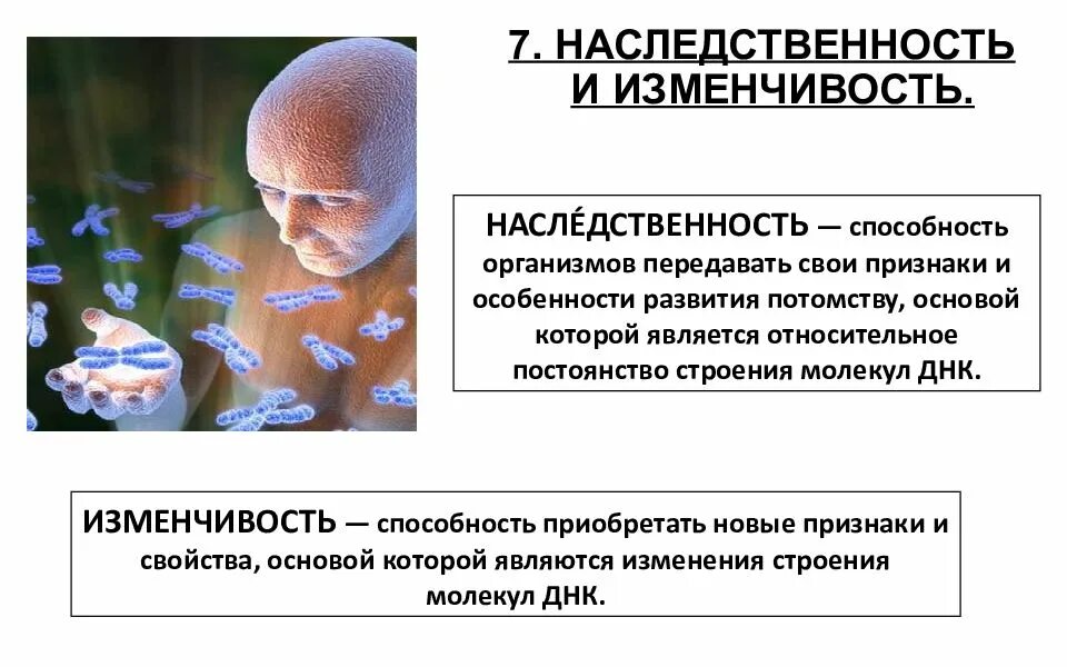 Наследственность и изменчивость вирусов. Наследственность организмов. Наследственность это в биологии. Наследуемость изменчивость. Наследственные признаки биология